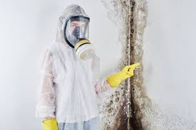 Best Mold Odor Removal Services  in Bloomingburg, OH